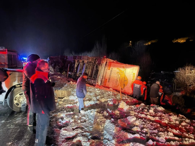 Erzincan’ın Refahiye ilçesinde büyükbüş yüklü bir TIR, şarampole devrildi. TIR dorsesinden araziye savrulan hayvanlar, çevredeki boş ahırlara nakledildi. 