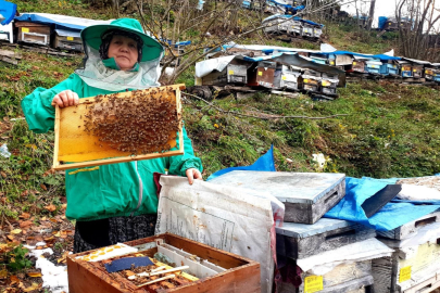 Babasının emanetini sırtlandı, 8 kardeşini bal ile okuttu