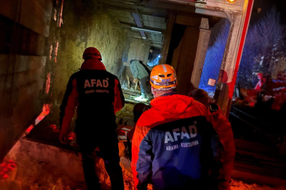 Erzincan'da Can Pazarı: Hayvan Yüklü TIR Şarampole Uçtu!