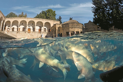 Balıklıgöl Neden Kutsal? Şanlıurfa’nın İnanç Merkezi