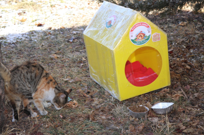 Çöpe Gitmedi, Yuva Oldu: Streç Film ve Eski Kıyafetlerle Hayat Kurtardılar