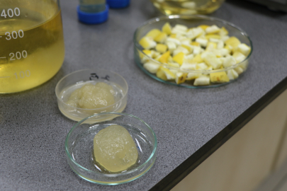 Bebek Bezlerinde Devrim Yaratacak İcat Samsun'dan Çıktı: Ağaç Kavunu Mucizesi