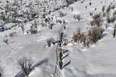 Yazın İstiflediler, Kışın Kızakla İndirdiler: Bu Otlar 'Can' Pahasına Taşınıyor