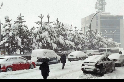 Muş'ta Kar Kalınlığı Yarım Metreyi Aştı: 350 Köy Dünyadan Koptu!