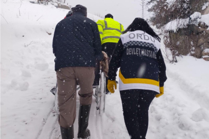 Ordu'da Kar Engel Tanımadı: 88'lik Çınar İçin Yollar Açıldı!