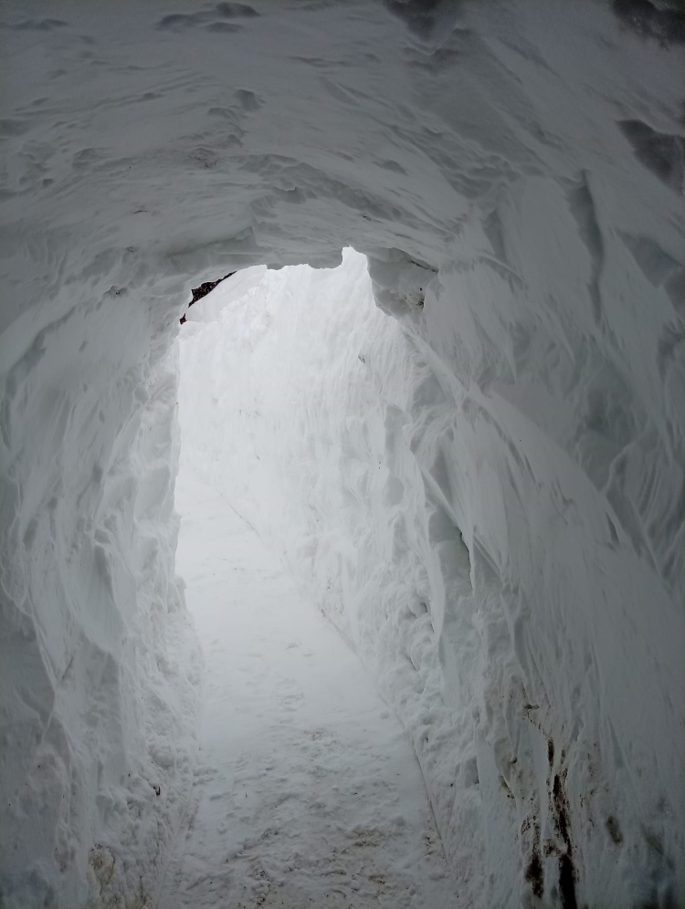 Ev ile ahır arasında 'buzdan koridor': Hayvanları için pes etmedi
