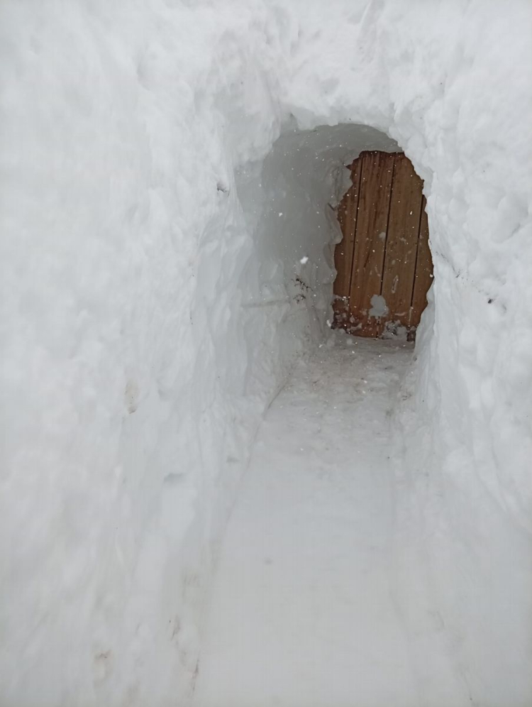 Ev ile ahır arasında 'buzdan koridor': Hayvanları için pes etmedi