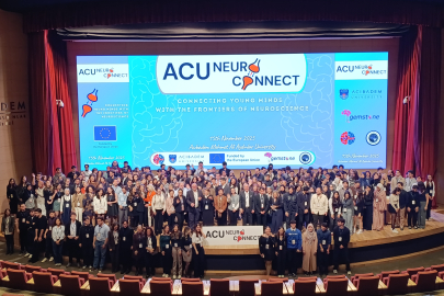 Beyin Artık Bir Ağ: Nörobilimde Yeni Dönem Başladı