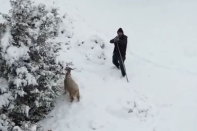 Havada Vızıltıyı Duydu, Tetikte Bekledi: "Neyin Nesisin Sen?"