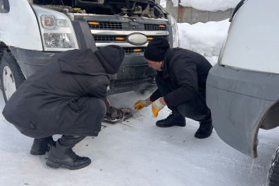 Sibirya Değil Hakkari: Arabaları Çalıştırmak İçin Altında Ateş Yaktılar
