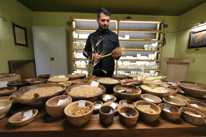 12 Bin Yıllık Miras Toprakla Buluştu: Iza Buğdayı Mengen’de Ekildi