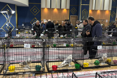 Ankara’da Podyuma Çıktılar, Fiyatları Dudak Uçuklattı: Bir Güvercin Tam 6 Milyon TL!