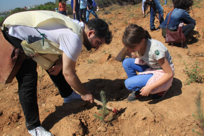 116 Bin Fidanla Geleceğe Nefes: ÇEKÜL Türkiye’yi Yeşile Boyadı