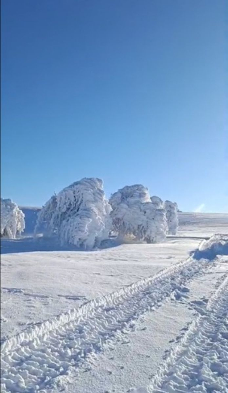 Bolu’da Görsel Şölen: Eksi Dereceler Susuz Yaylası’na Sanat Eseri Bıraktı