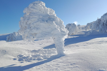 Bolu’da Görsel Şölen: Eksi Dereceler Susuz Yaylası’na Sanat Eseri Bıraktı