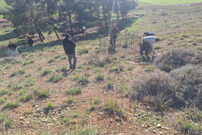 Hatay'da Doğanın Ezber Bozan Dengesi: Kurt, Sırtlan ve Ceylan Aynı Karede!