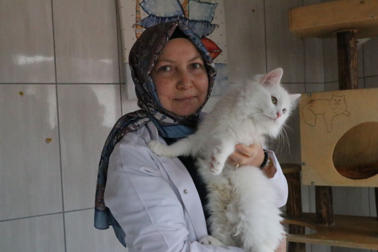 Ankara'da nesli tükenme tehlikesi altında olan Ankara kedisinin yaşatılması için 2017 yılında kurulan merkezde 700'e yakın Ankara kedisi yetiştirilerek, sahiplendirildi.