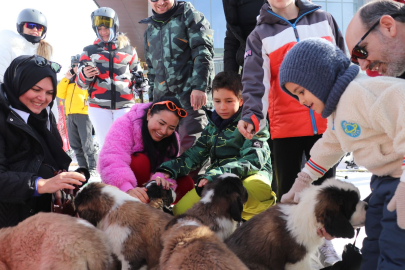 Erciyes'in en tatlı maskotları: İsimleri 'Sucuk' ve 'Pastırma'