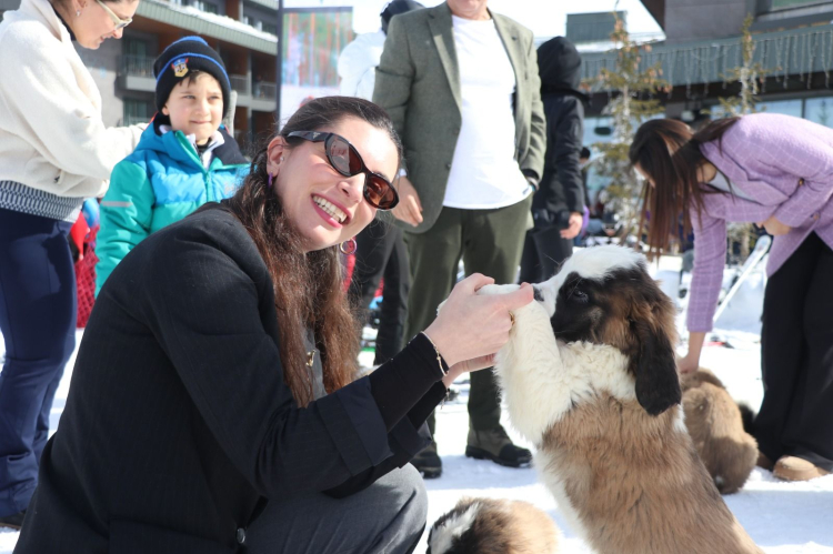 Türkiyr'nin önemli kış turizm merkezlerinden olan Erciyes Kayak Merkezi'nde 'saint bernard' cinsi 2 köpeğe yerli ve yabancı turistler tarafından 'Pastırma' ve 'Sucuk' ismi verildi.