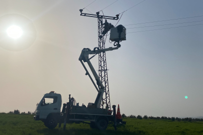 Türkiye Kuş Göçünde Alarm Veren Tehlikeyi Ortadan Kaldırıyor