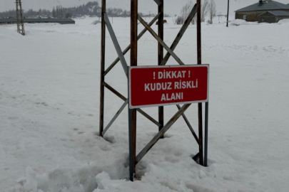 Hakkari'de ekipler teyakkuzda! O köyde hayvan hareketliliği yasaklandı
