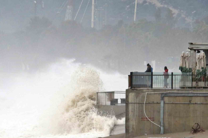 Sahilde İlginç Görüntü: Martılar Balık, Vatandaş "Define" Peşinde