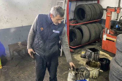 Sanayinin Yeni Gözdesi: Arızayı "Dinleyerek" Bulan Kedi Şıkkıdı