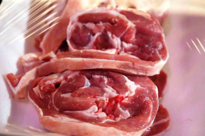 SAMSUN'DA TARIM DEVRİMİ BAŞLIYOR! Et, süt ve balık üretimi katlanacak