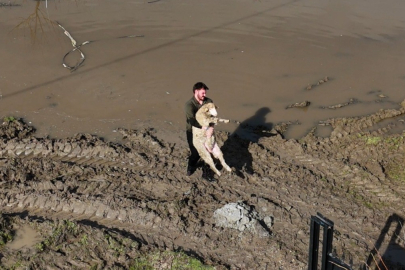 Meriç taştı, Edirne’de hayat sular altında kaldı