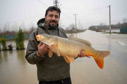 Edirne’de Taşkın Sonrası İlginç Manzara: Tarlada 7 Kiloluk Sazan