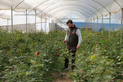 Adana’da Zirai Don Gülleri Vurdu, Sevgililer Günü Öncesi Fiyatlar Yüzde 50 Arttı