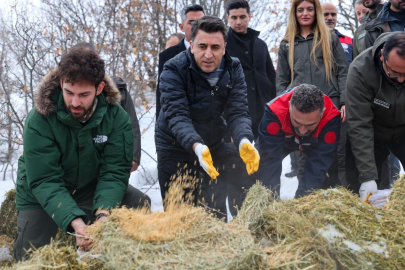 Tunceli’de Yaban Hayatı İçin Kış Mesaisi: 1 Ton Yem Doğaya Bırakıldı