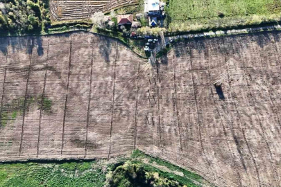 Türkiye’deki şehirler, Samsun’da üretilen fidanlarla yeşerdi