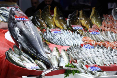 Kilosu 650 Lira, Faydası Paha Biçilemez: Akdeniz’den Elazığ’a 85 Kiloluk Şifa