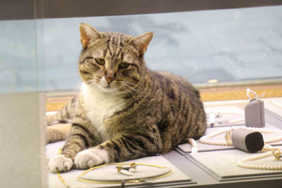 Sakarya Uzun Çarşı’da altınların bekçisi ‘Şaziye’