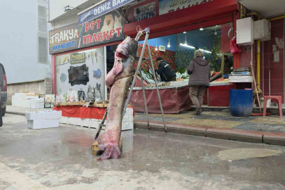 Meriç’in Sürprizi: Sel Gitti, "Dev" Kaldı