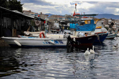 Bursa’da Yüzde 100 Hibeli Mazot Başvurusu Başladı