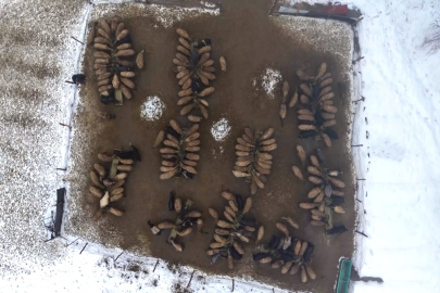 Devlet destekleri göçü tersine mi çeviriyor?