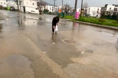 Muğla’da Gölet Taştı, Asfaltta Balık Toplandı