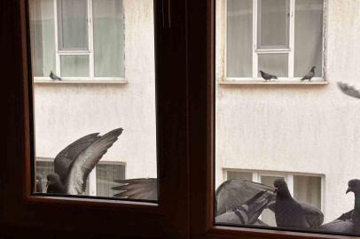 Muş’un Ayazında Bir "Merhamet" Penceresi