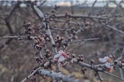 Kapadokya’da Mevsimler Kayıyor mu?