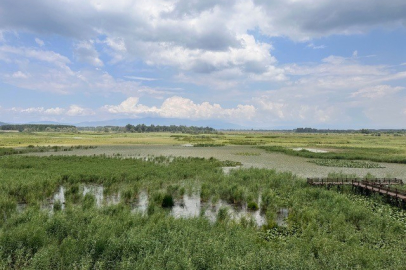 Türkiye’de Sulak Alanlar Tehdit Altında mı?