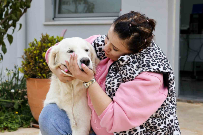 Antalya'da "Satın Alma Sahiplen" Seferberliği: Golden Bile Var!
