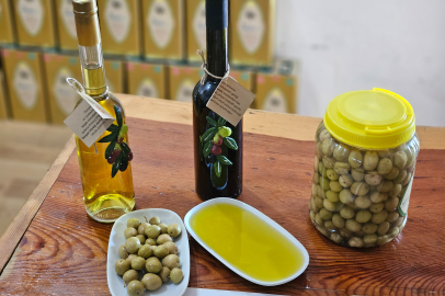 Hacettepe’de Dikkat Çeken Deney: “Tavşan Yüreği” Zeytinyağı Kemoterapiyle Yarıştı