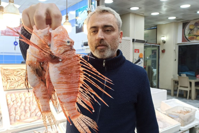 Hatay’da Tezgahta Yok Ama Talebi Var