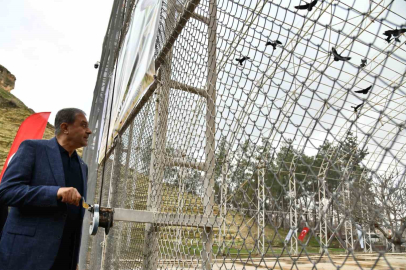 Şanlıurfa’da 277 Kelaynak Serbest: Göç Edenlerin Yarısı Dönmedi