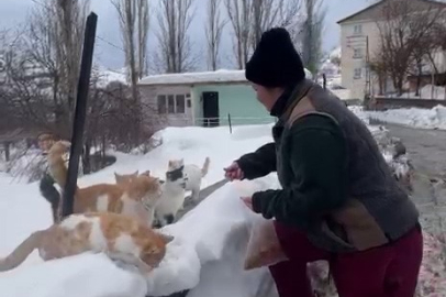 İstanbul’dan Diyarbakır’a "Mama" Köprüsü: Selin İlhan’ın Vefa Dolu Hikayesi