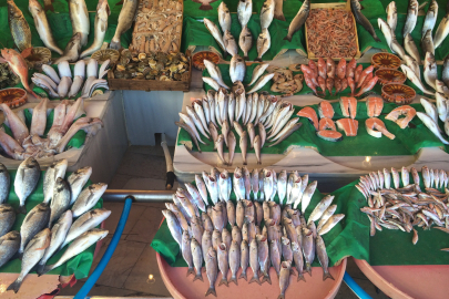 Balık İhracatında Rekor Artış: 207 Milyon Dolar