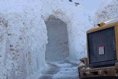 Van'da Dev Çığ Kütlesi Tünel Oldu: Mezraya Ulaşım Buradan Sağlanıyor