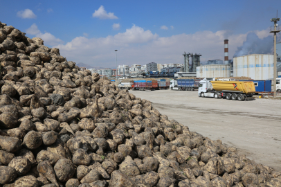 Konya Şeker'den Üreticiye Dev Ödeme: 12,7 Milyar TL Hesaplarda